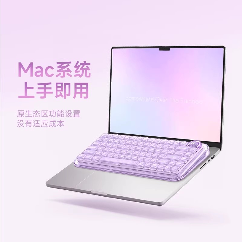 TTC Magnetschalter, taktil, fr – Gaming Keyboard Hall Effect Switches Bewertung und Preis